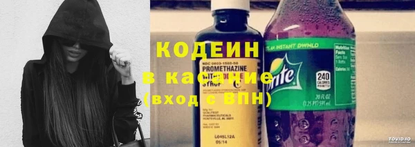 мет Елабуга