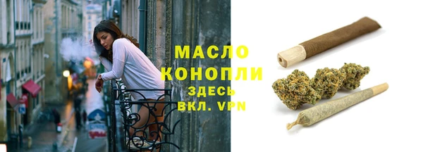 мет Елабуга