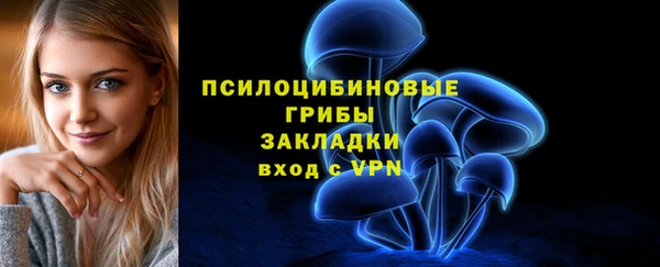 МДМА Ельня
