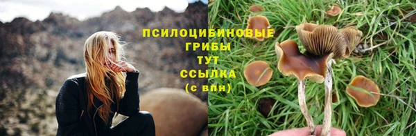 МДМА Ельня