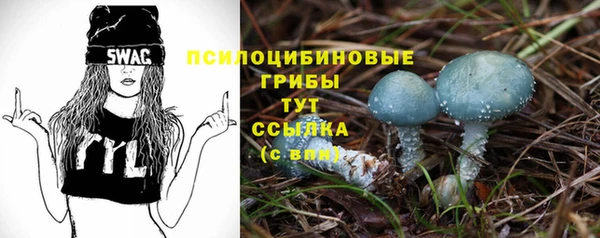 МДМА Ельня