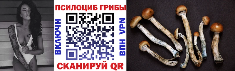Купить  Похвистнево  Галлюциногенные грибы ЛСД 